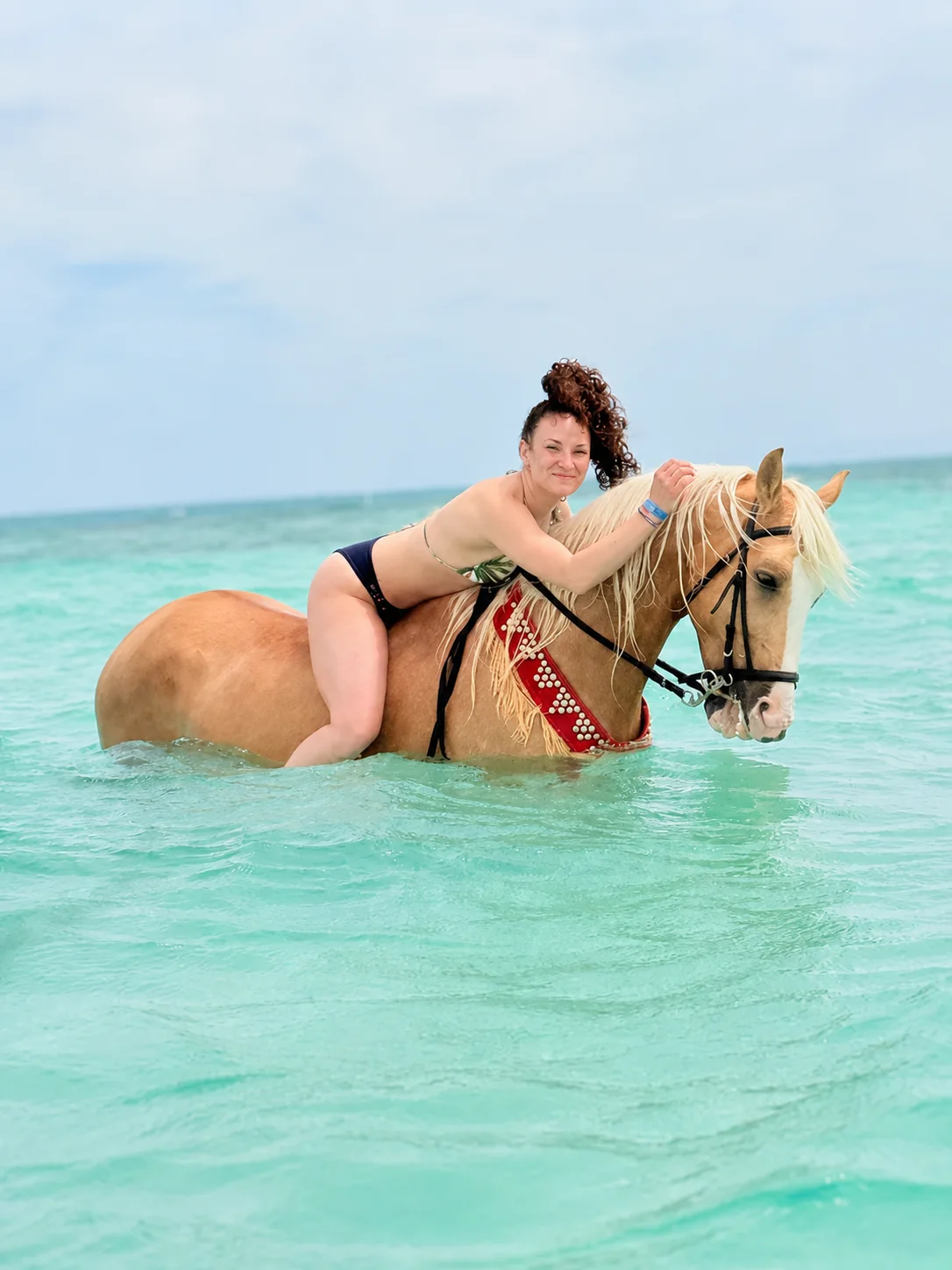 Reiterin mit Pferd im ruhigen Wasser des Roten Meeres